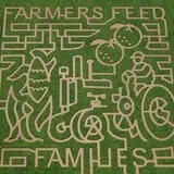 2014 corn maze–ode to a farmer