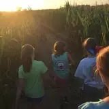 Corndodgers Farm  photo
