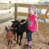 Corndodgers Farm  photo
