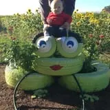 Corndodgers Farm  photo
