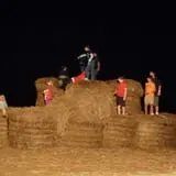 Corndodgers Farm  photo