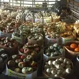 Howard Family Farm photo