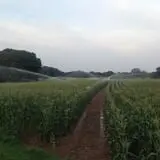 Howard Family Farm photo
