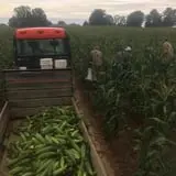 Howard Family Farm photo