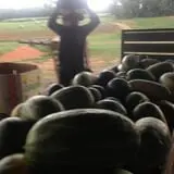 Howard Family Farm photo