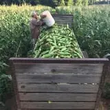 Howard Family Farm photo