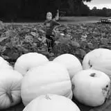 Howard Family Farm photo