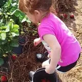 Howard Family Farm photo