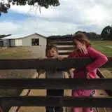 Howard Family Farm photo