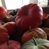 Howard Family Farm photo