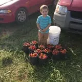 Howard Family Farm photo