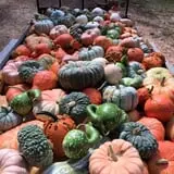 Howard Family Farm photo