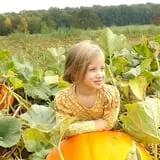 Howard Family Farm photo