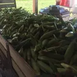 Howard Family Farm photo