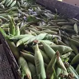 Howard Family Farm photo