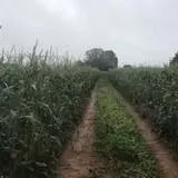 Howard Family Farm photo