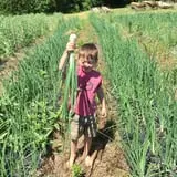 Howard Family Farm photo