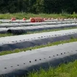 Howard Family Farm photo