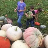 Howard Family Farm photo