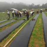 Howard Family Farm photo