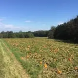 Howard Family Farm photo