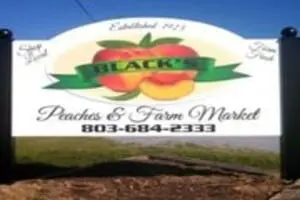 Fall Festival at Black's Peaches