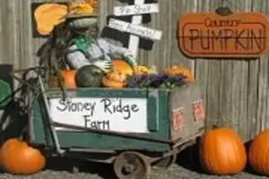 Stoney Ridge Farm