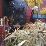The Witches Haunted Mine photo