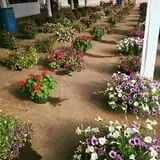 Strawberry Hill USA photo