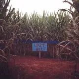 Strawberry Hill USA photo