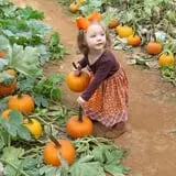 Strawberry Hill USA photo