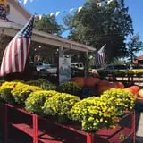 Strawberry Hill USA photo