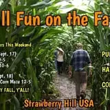 Strawberry Hill USA photo