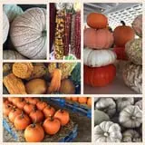 Strawberry Hill USA photo