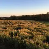 Strawberry Hill USA photo