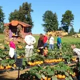 Strawberry Hill USA photo