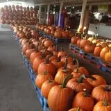 Strawberry Hill USA photo