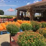 Strawberry Hill USA photo