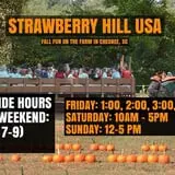 Strawberry Hill USA photo