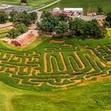 Strawberry Hill USA photo