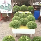 Strawberry Hill USA photo