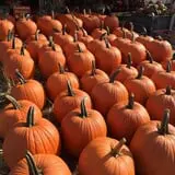 Strawberry Hill USA photo