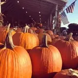 Strawberry Hill USA photo