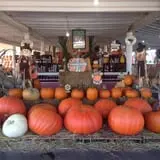 Strawberry Hill USA photo