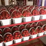 Strawberry Hill USA photo