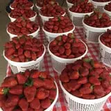 Strawberry Hill USA photo