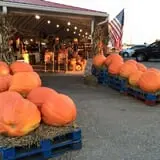 Strawberry Hill USA photo