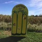 Gunter Farms Corn Maze & Pumpkin Patch photo