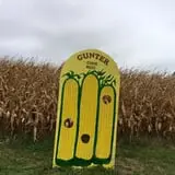 Gunter Farms Corn Maze & Pumpkin Patch photo