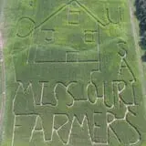 Gunter Farms Corn Maze & Pumpkin Patch photo